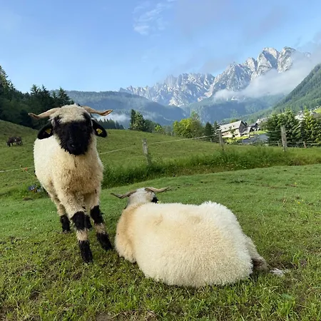 Apartments-salzkammergut Hallstaettersee Und Gosausee * Gosau