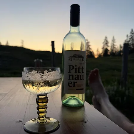 Apartments-salzkammergut Hallstaettersee Und Gosausee *