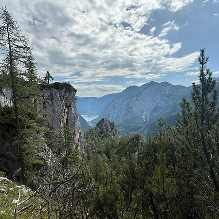 Apartments-salzkammergut Hallstaettersee Und Gosausee *