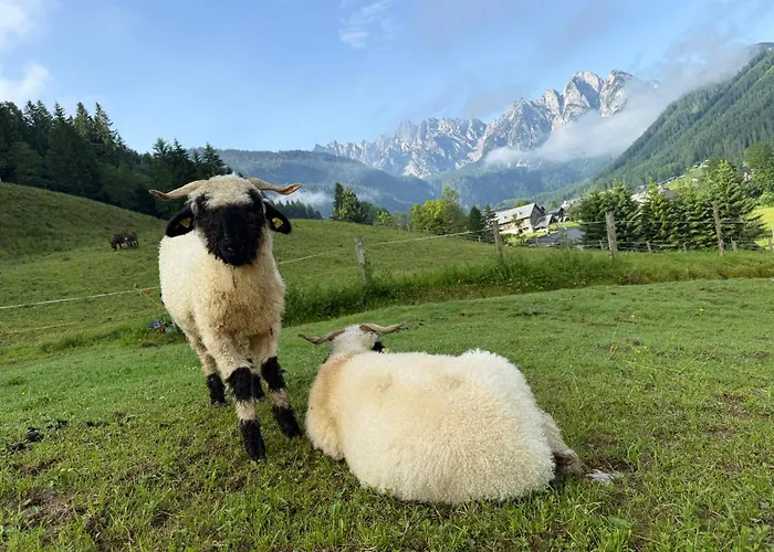 Apartments-salzkammergut Hallstaettersee Und Gosausee * غوساو