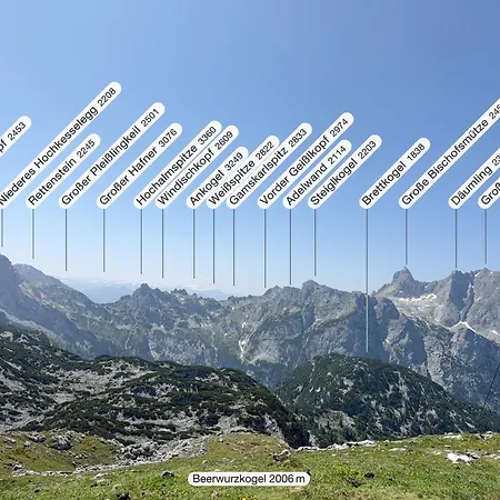 Apartments-salzkammergut Hallstaettersee Und Gosausee 아파트